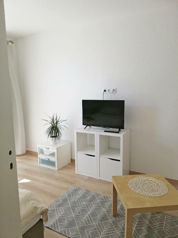 Ferienwohnung Mammut 1 سالزجيتر المظهر الخارجي الصورة